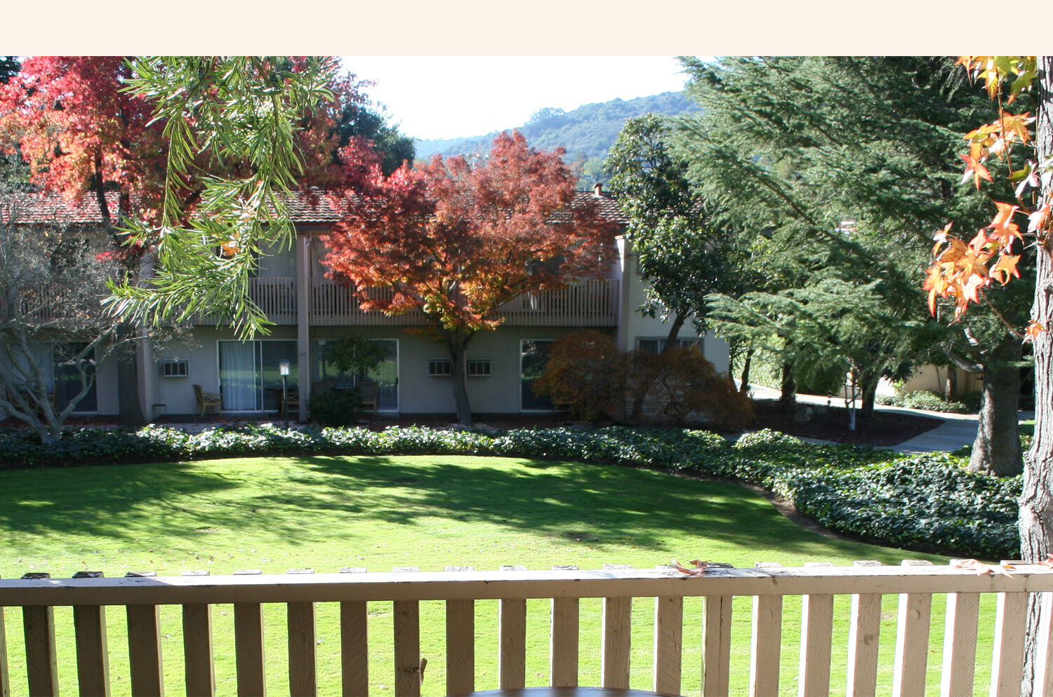 Hotel Gatos